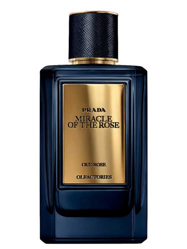 prada miracle of the rose|mirages miracle of the rose.